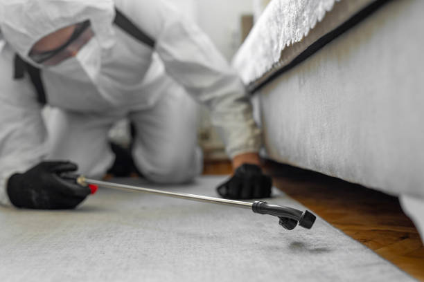Professional Termite Control technician working in South Barre, VT
