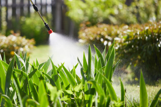 24/7 Emergency Termite Control experts in South Barre, VT