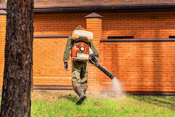Trusted Mosquito Control service in South Barre, VT - Nex Pest Control